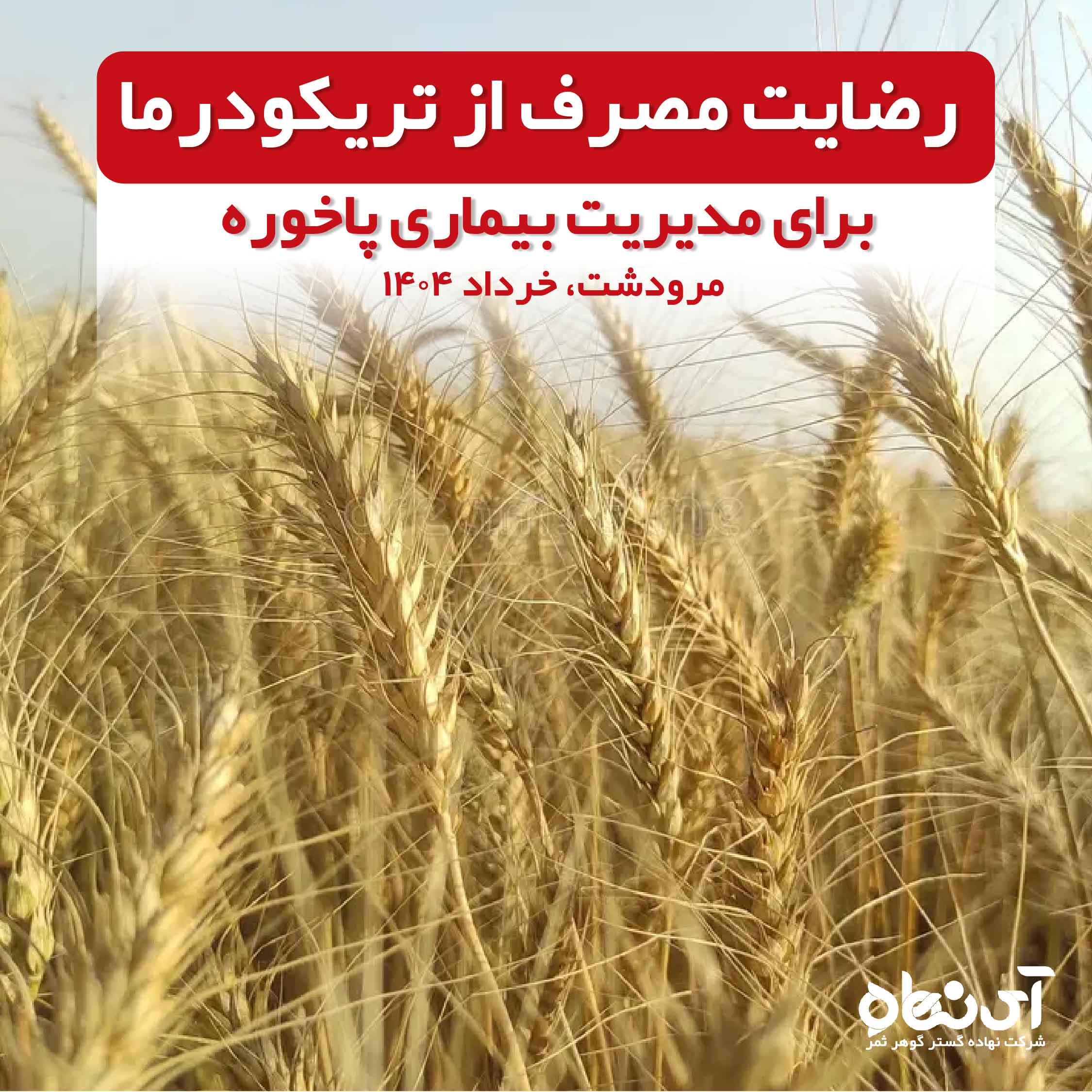 رضایت مصرف از تریکودرما، مدیریت بیماری پاخوره، مرودشت، خرداد 1404